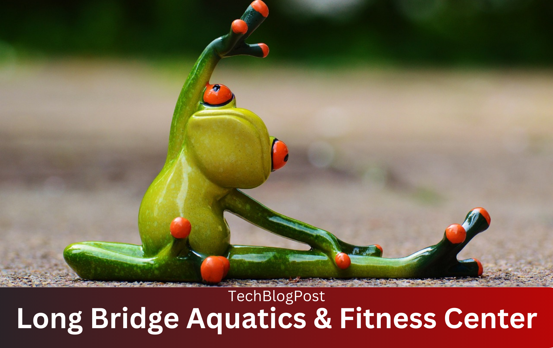 Long Bridge Aquatics & Fitness Center