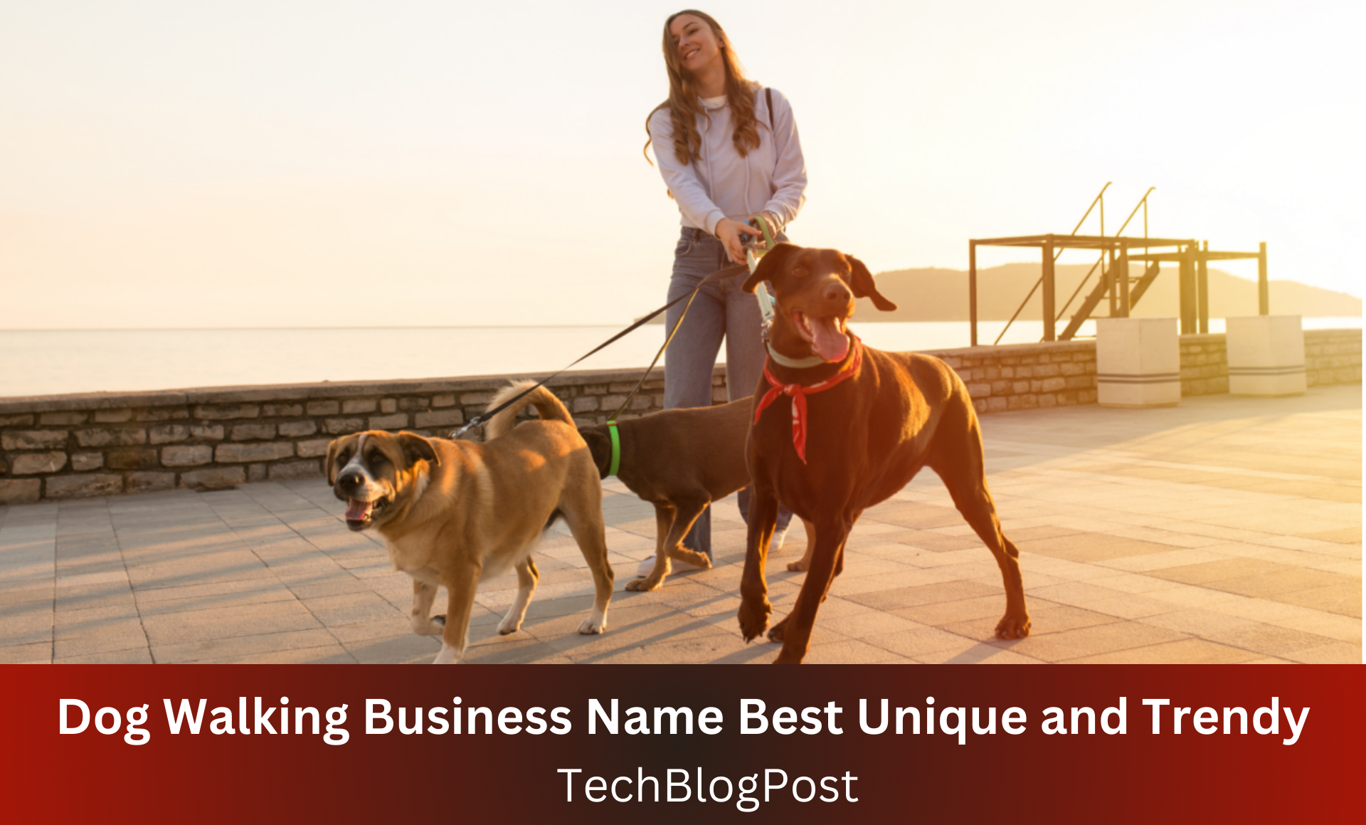 Dog Walking Business Name Best Unique and Trendy