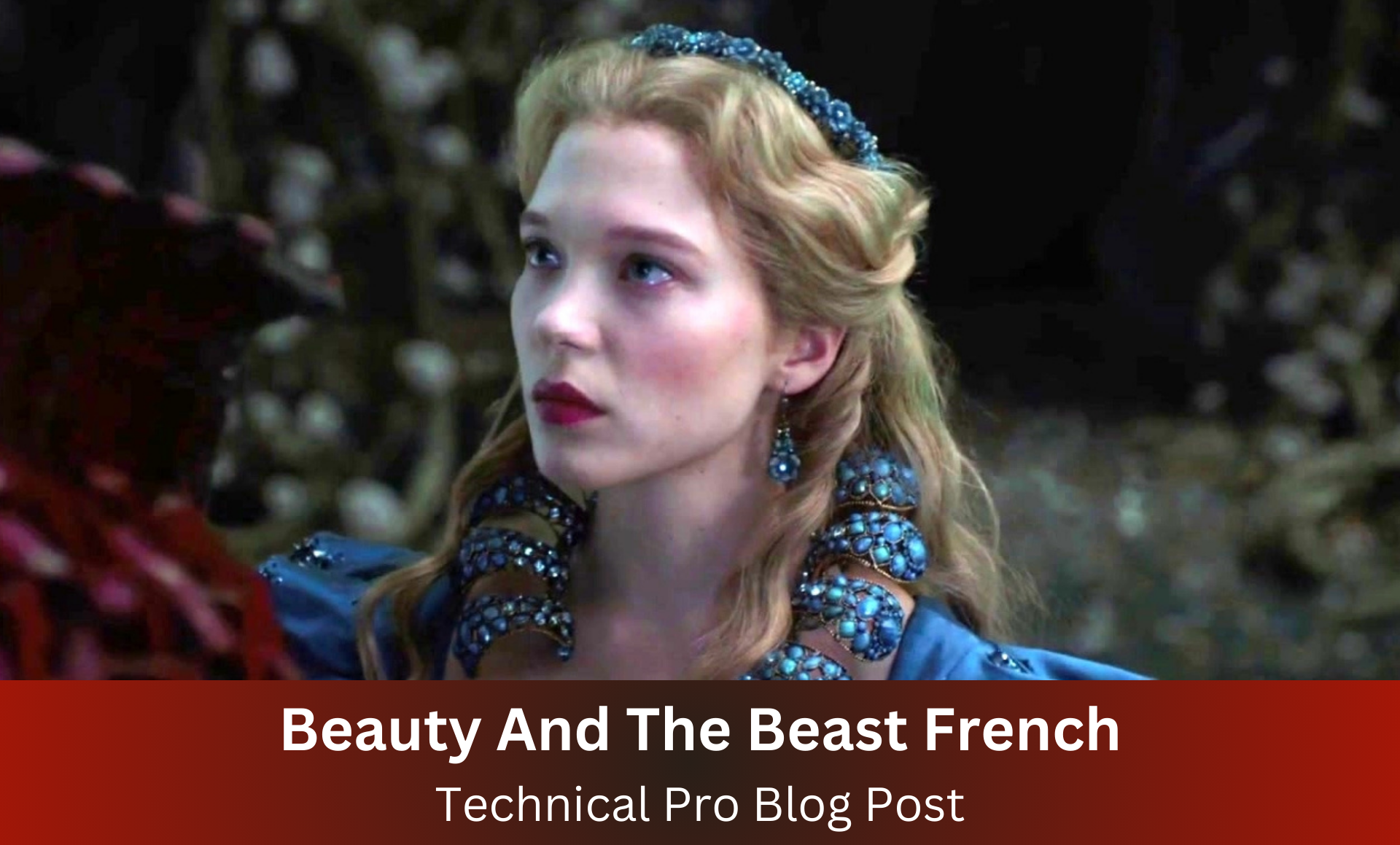 Beauty And The Beast French